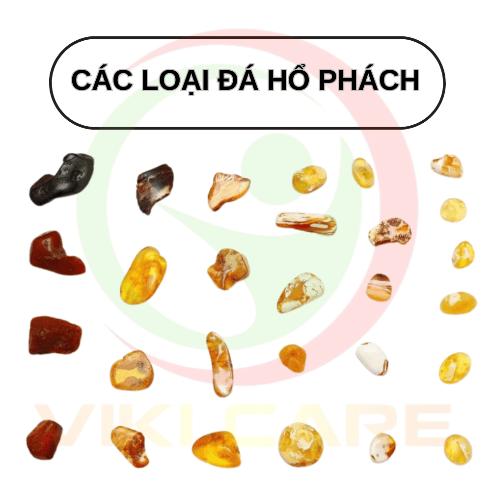 Đá Hổ Phách là gì? Công dụng của đá Hổ Phách? các loại đá hổ phách