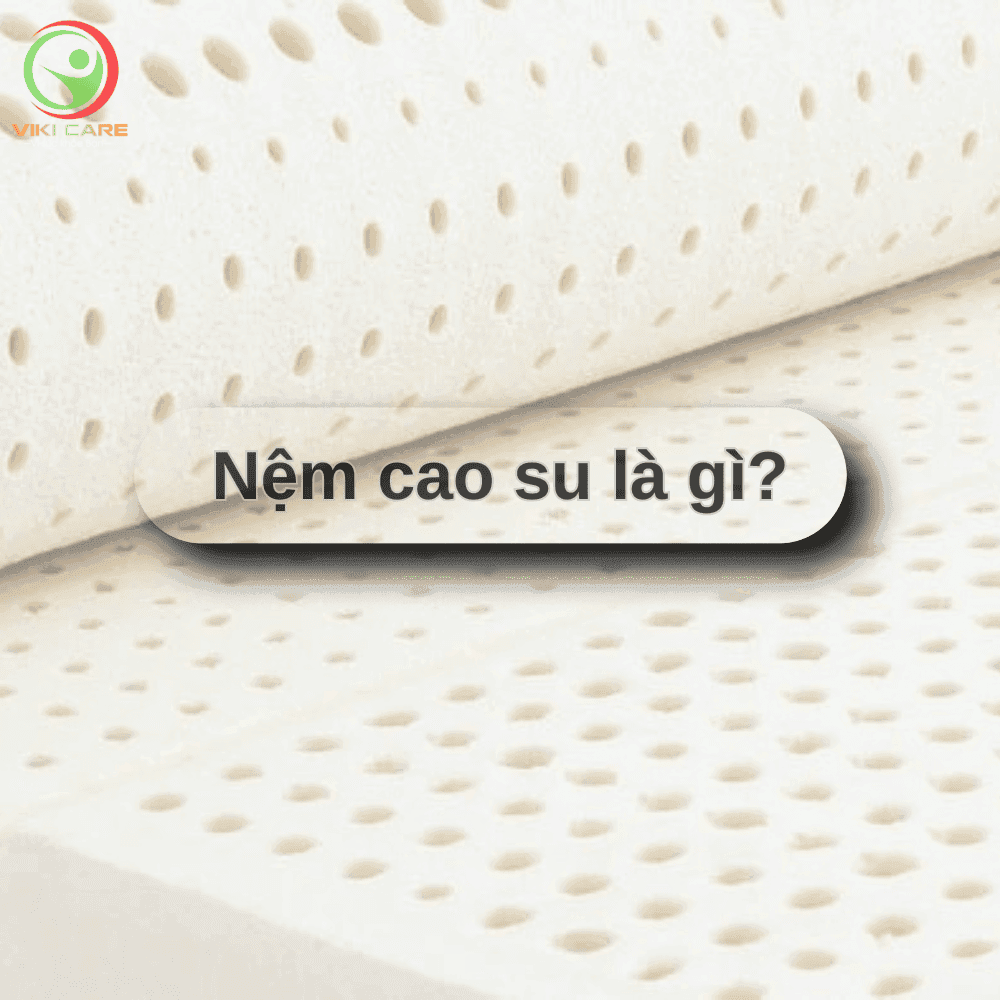 Các Loại Nệm Cao Xu Hiện Nay 1